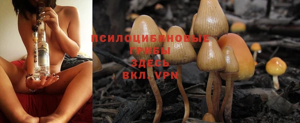 винт Лагань
