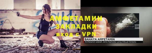 винт Лагань