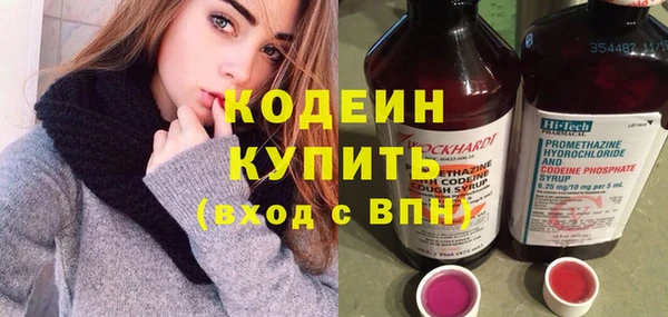 винт Лагань