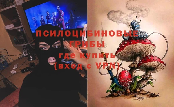 мескалин Лабытнанги