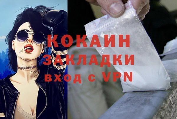 винт Лагань