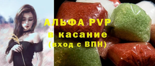 винт Лагань