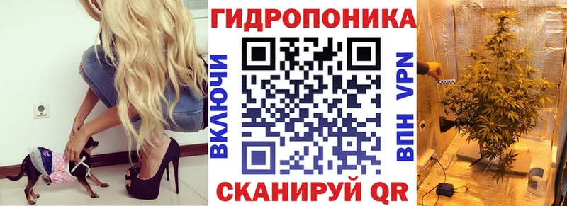купить наркотик  ОМГ ОМГ ссылка  Конопля тримм  Краснодар 